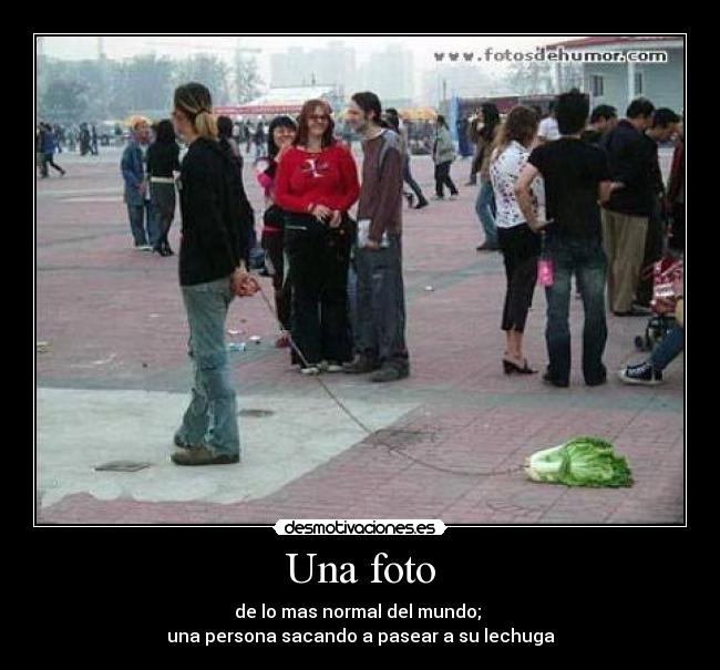 Una foto - de lo mas normal del mundo; 
una persona sacando a pasear a su lechuga