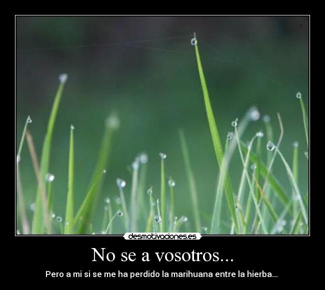 No se a vosotros... -