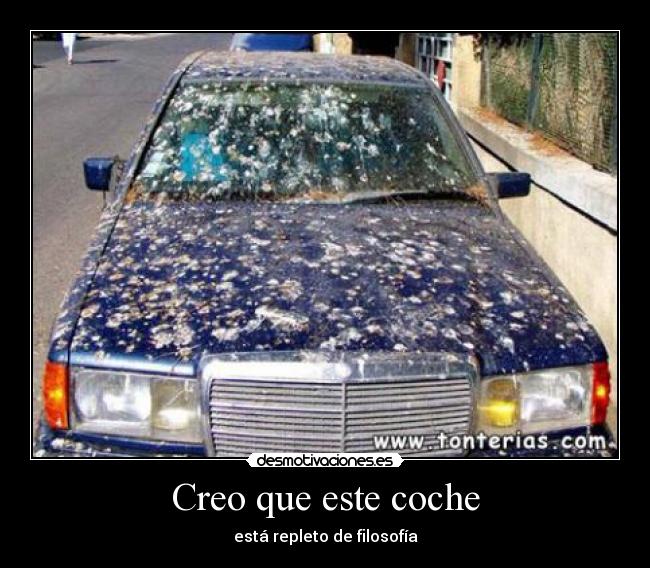 Creo que este coche - 
