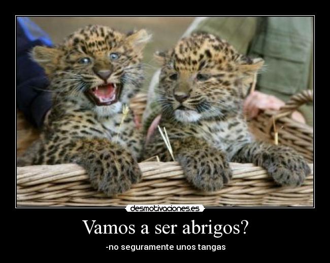 Vamos a ser abrigos? -