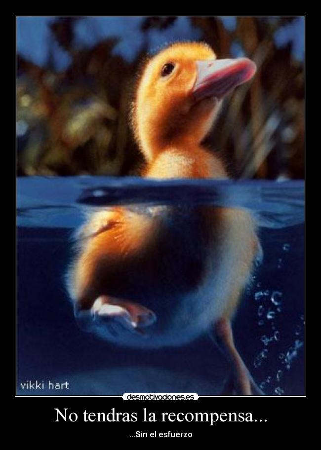 No tendras la recompensa... -