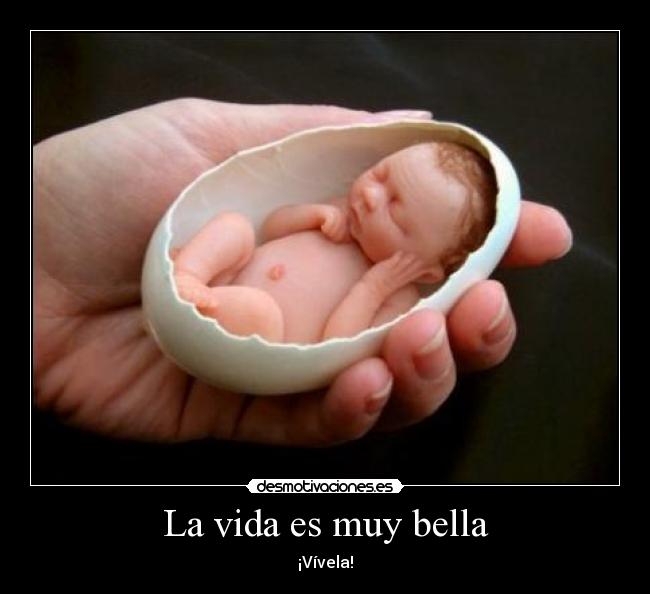 La vida es muy bella - ¡Vívela!