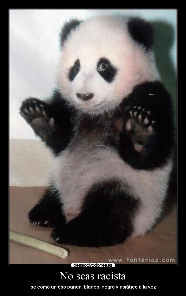 фотка для oppozit.ru