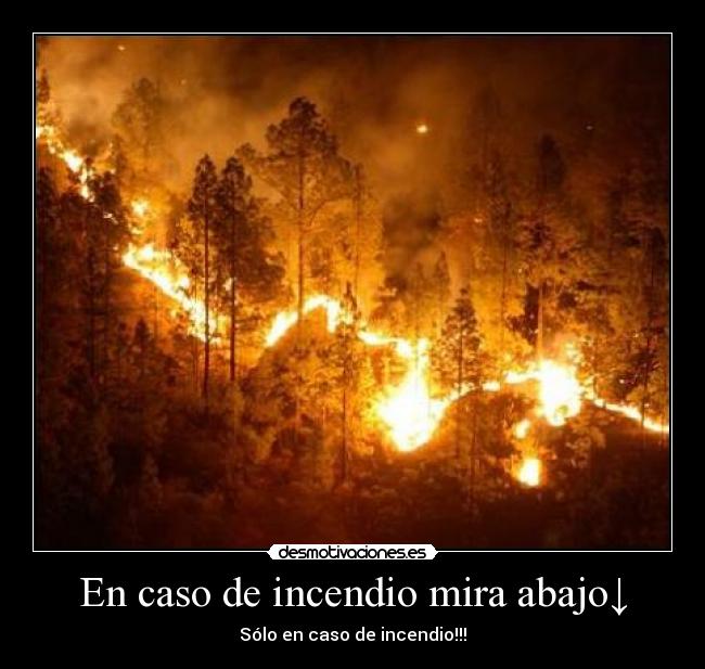 En caso de incendio mira abajo↓ - 