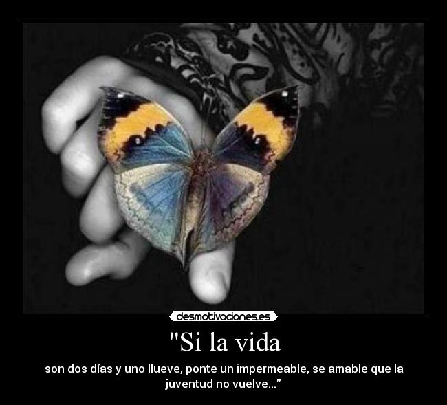 Si la vida -
