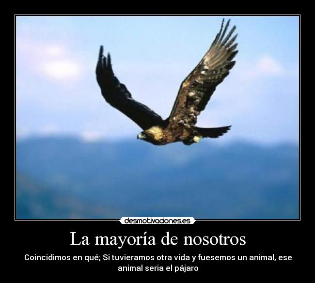 La mayoría de nosotros - Coincidimos en qué; Si tuvieramos otra vida y fuesemos un animal, ese
animal seria el pájaro
