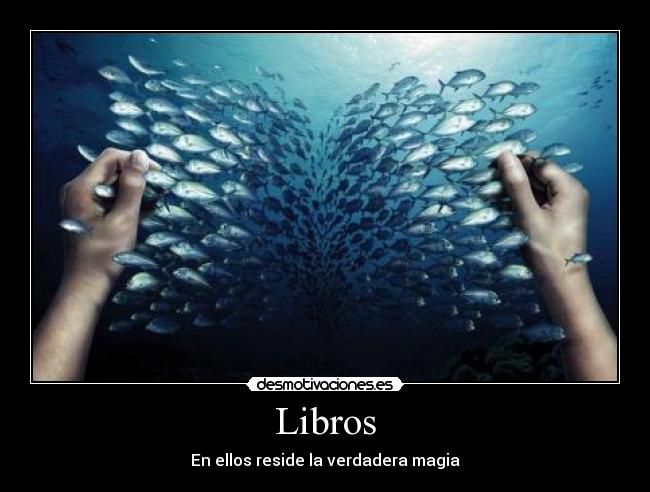 Libros - En ellos reside la verdadera magia