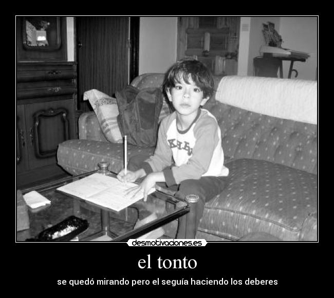 el tonto -