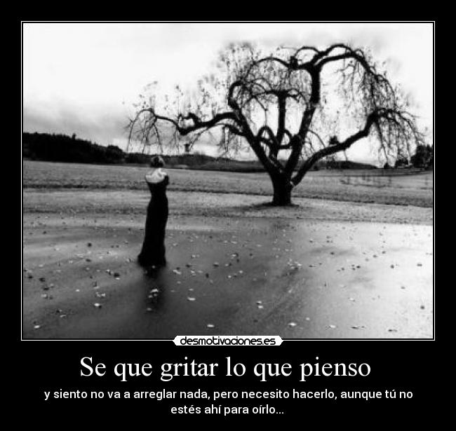 Se que gritar lo que pienso  - 