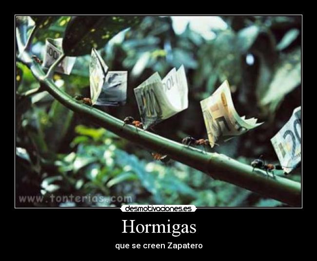Hormigas -