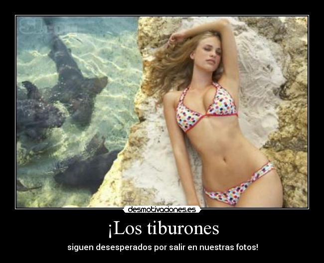 ¡Los tiburones -