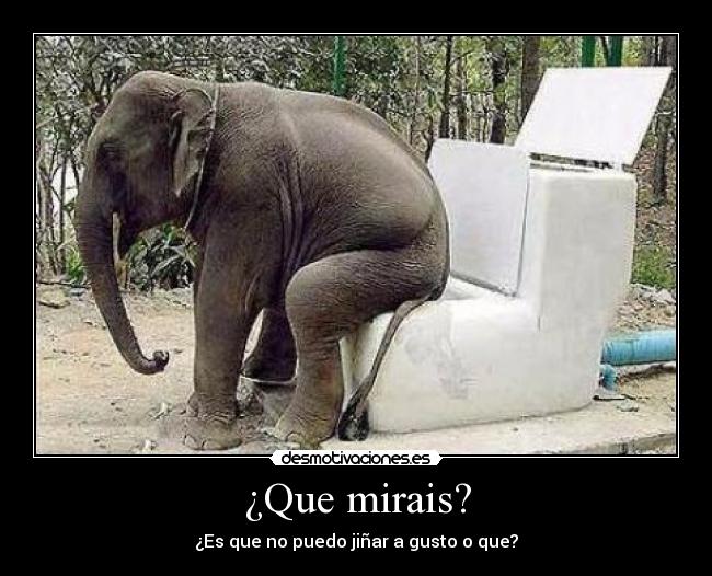 ¿Que mirais? -