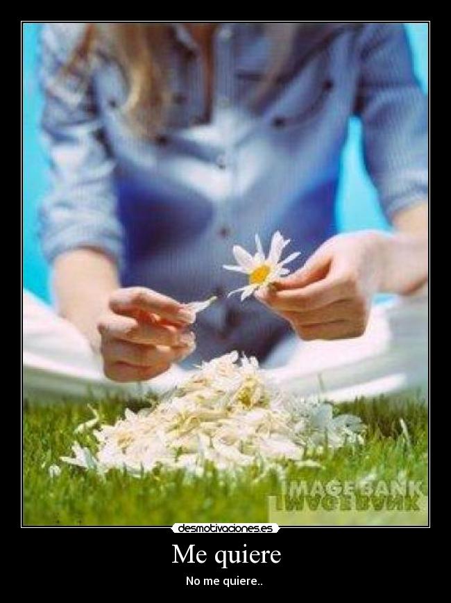 Me quiere -