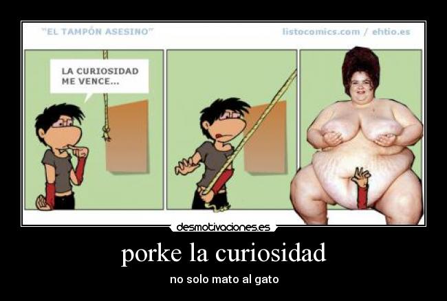 porke la curiosidad - 