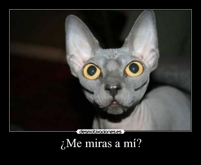 ¿Me miras a mí? -