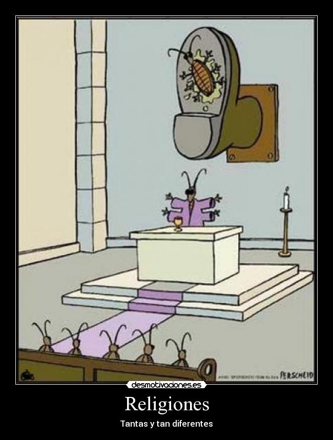 Religiones - Tantas y tan diferentes