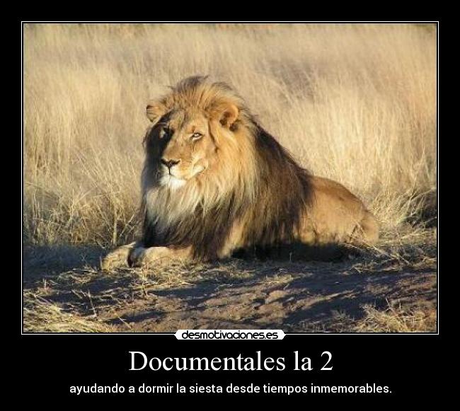 Documentales la 2 - ayudando a dormir la siesta desde tiempos inmemorables.