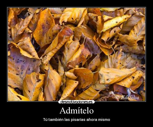 carteles pisar hojas desmotivaciones