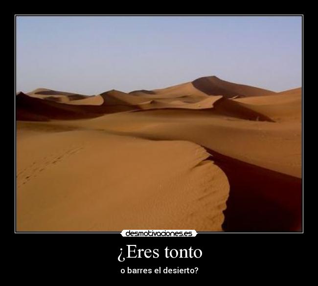 ¿Eres tonto - 