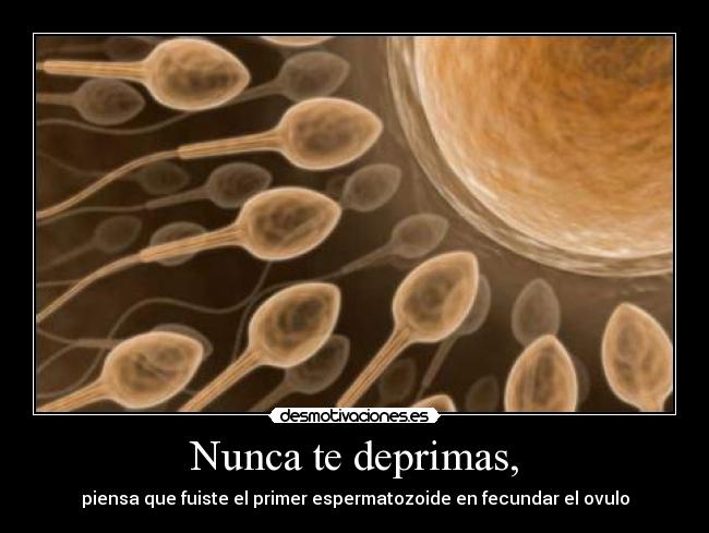 Nunca te deprimas, - 