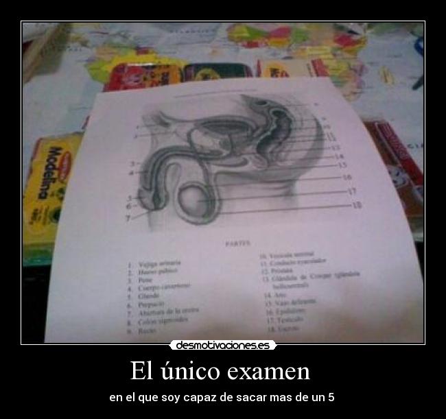 El único examen - en el que soy capaz de sacar mas de un 5