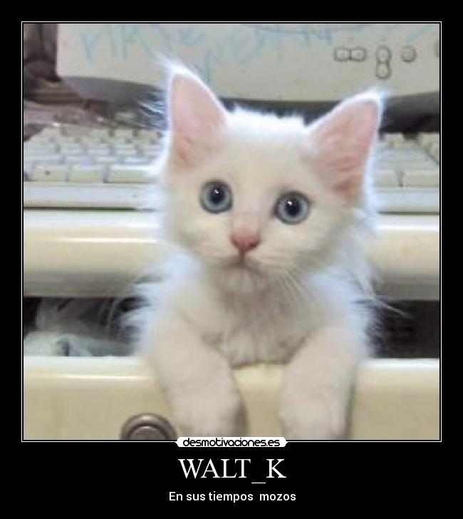 WALT_K - 