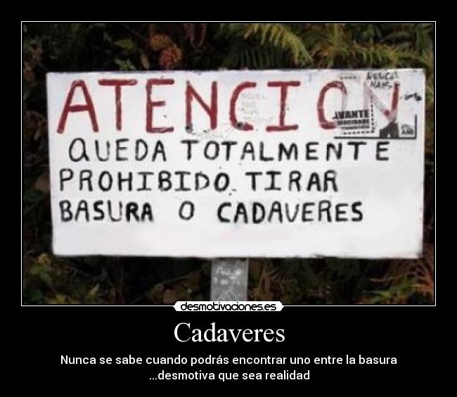 Cadaveres - Nunca se sabe cuando podrás encontrar uno entre la basura
...desmotiva que sea realidad