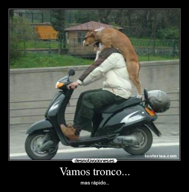 carteles risa desmotivaciones