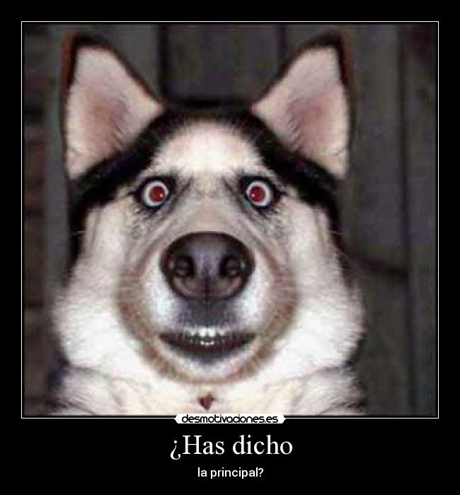 ¿Has dicho - la principal?