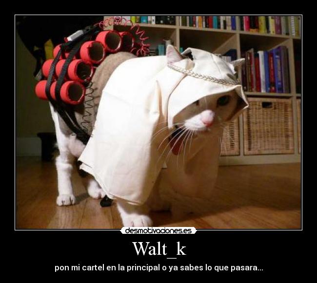 Walt_k -