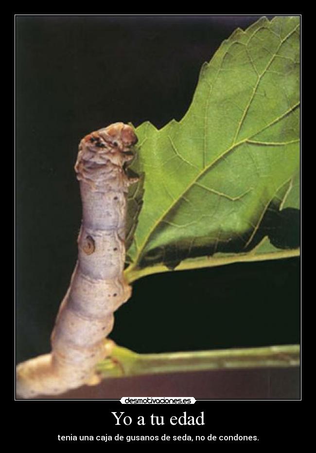 carteles jovenes desmotivaciones