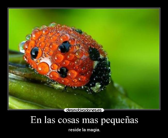 En las cosas mas pequeñas - reside la magia.