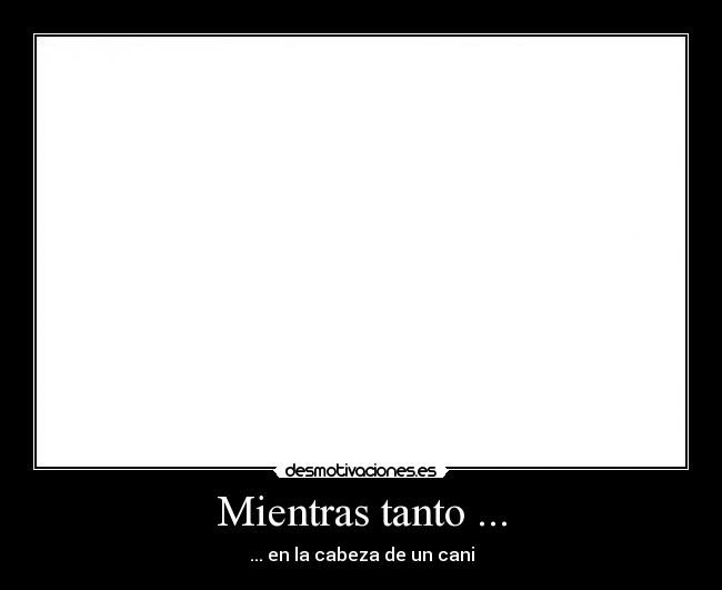 Mientras tanto ... - 