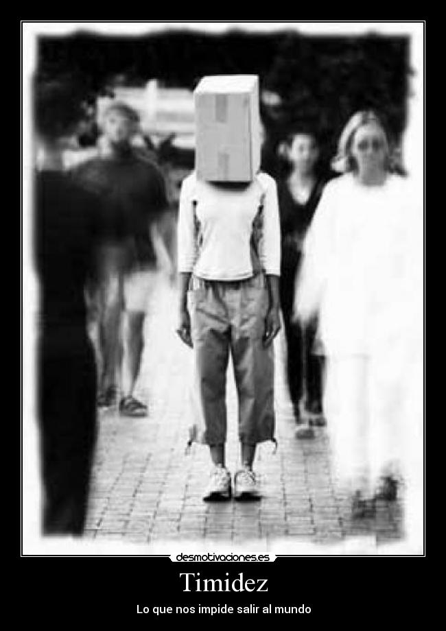 Timidez -