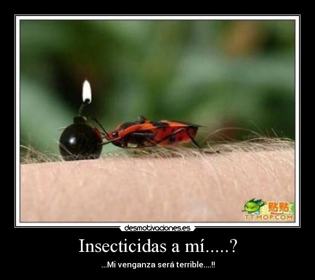 Insecticidas a mí.....? - ...Mi venganza será terrible....!!