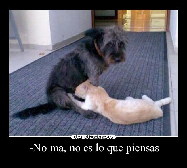 -No ma, no es lo que piensas - 