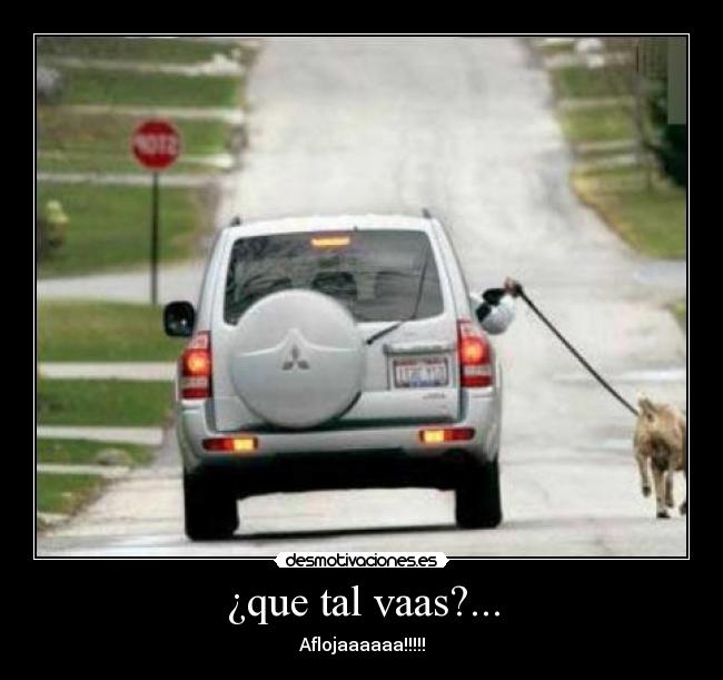 ¿que tal vaas?... - 
