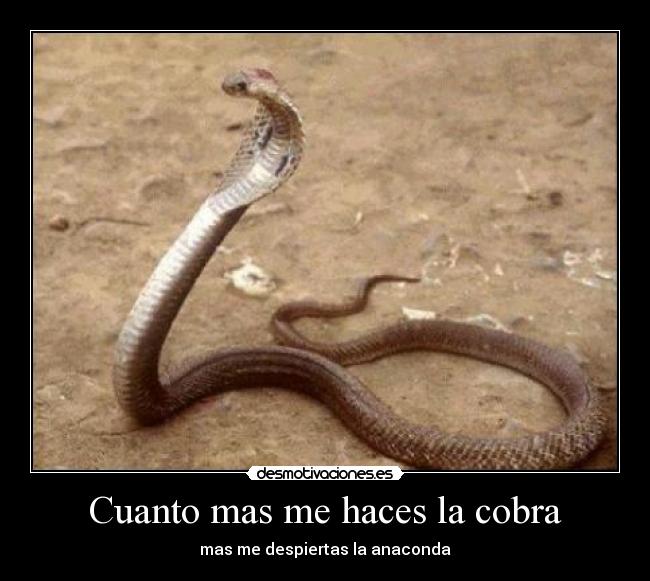 carteles jotajotamv desmotivaciones