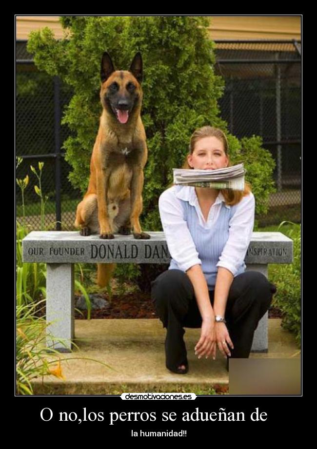 O no,los perros se adueñan de - la humanidad!!