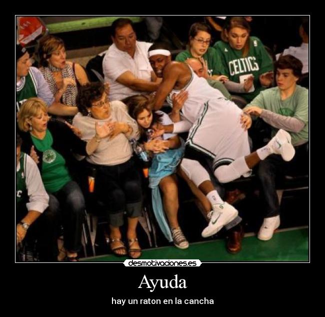 Ayuda - hay un raton en la cancha