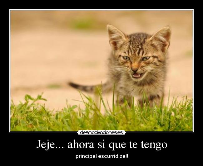 Jeje... ahora si que te tengo -