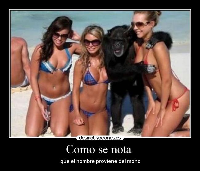 Como se nota - que el hombre proviene del mono