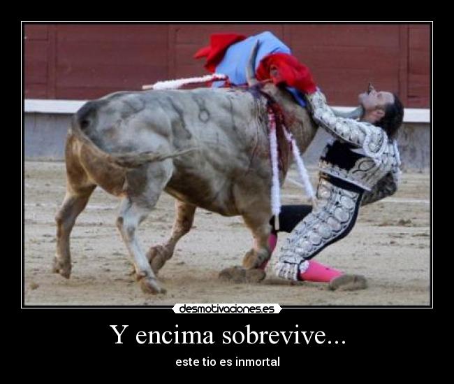 carteles abc desmotivaciones