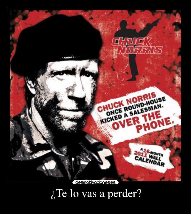 carteles chuck norris 2011 desmotivaciones