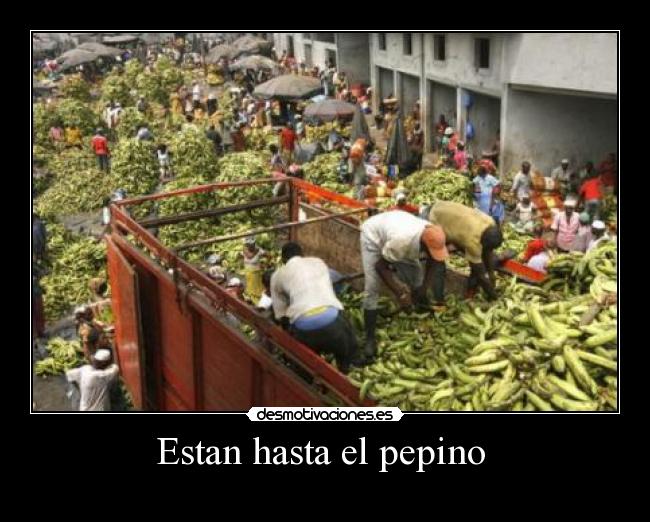 Estan hasta el pepino  - 