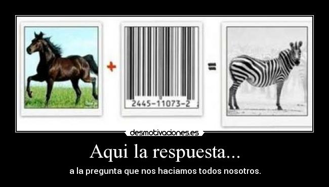 Aqui la respuesta... - a la pregunta que nos haciamos todos nosotros.