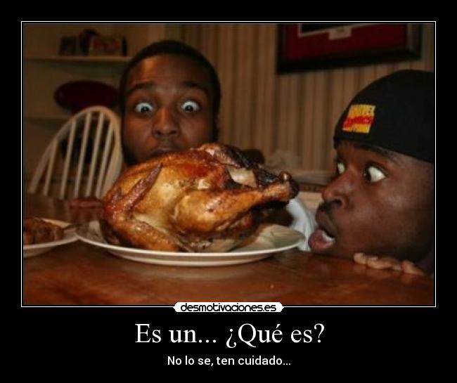 Es un... ¿Qué es? - No lo se, ten cuidado...
