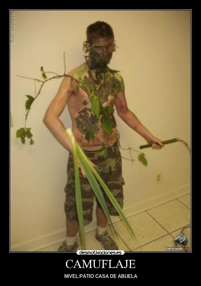 CAMUFLAJE - NIVEL:PATIO CASA DE ABUELA