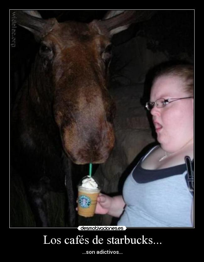 Los cafés de starbucks... -