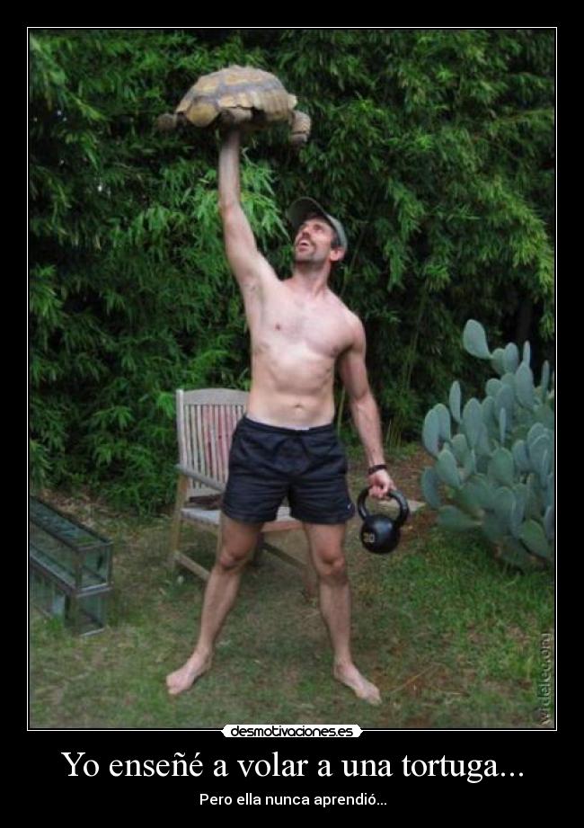 Yo enseñé a volar a una tortuga... - Pero ella nunca aprendió...